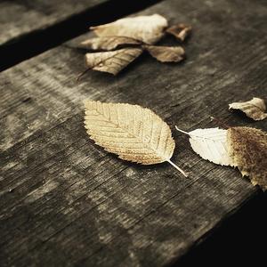 在线观看福利片
