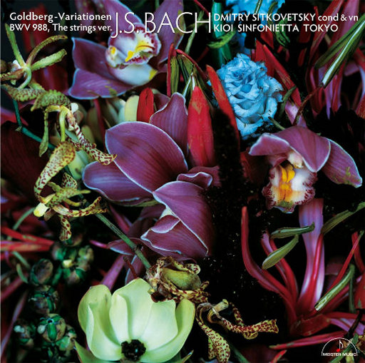 在线观看福利片
